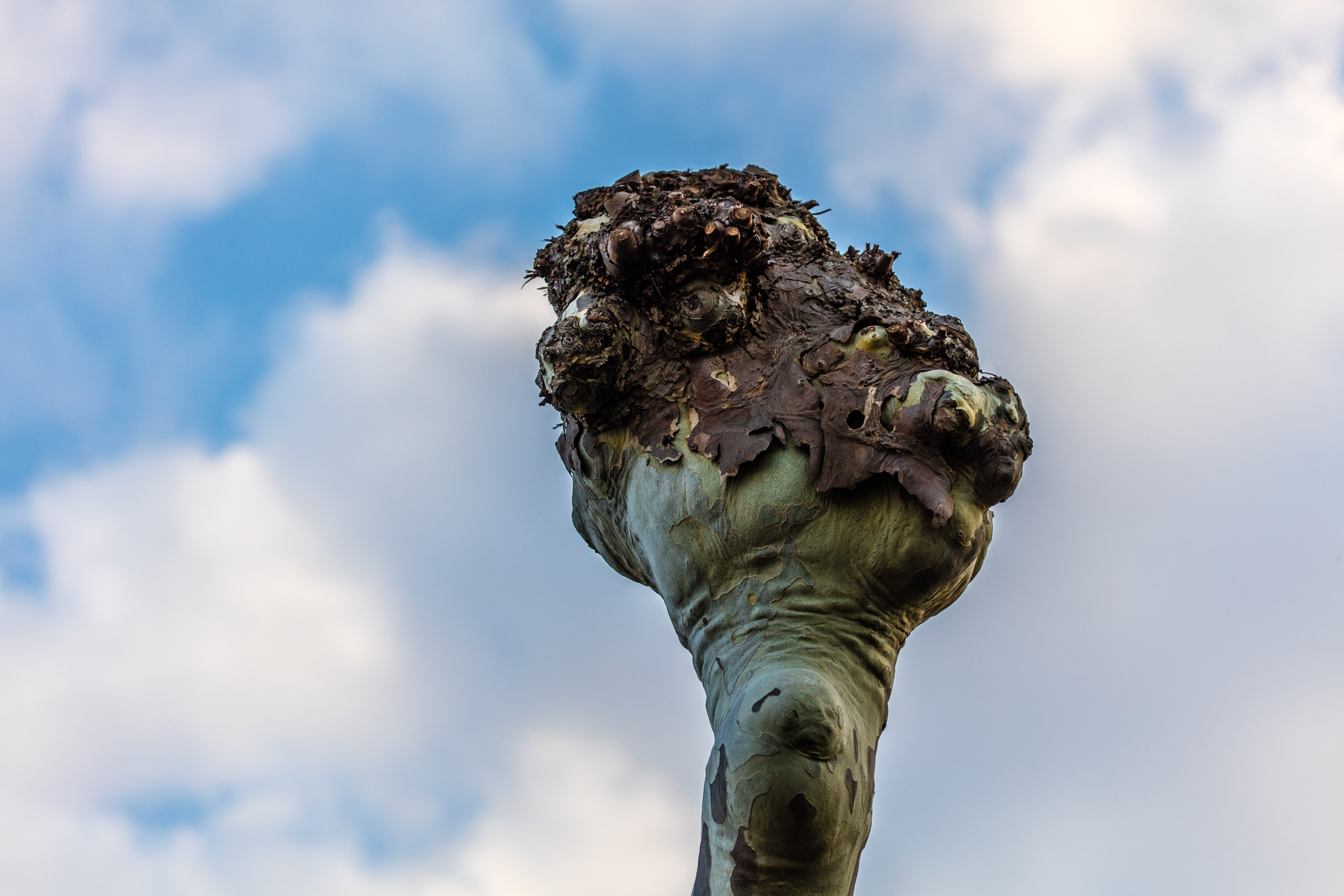 20190330181459 DP010280